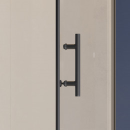 Душевая дверь RGW HO-012B 1100