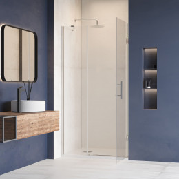 Душевая дверь RGW HO-012 900