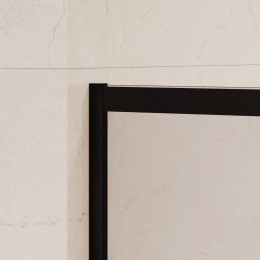 Душевая перегородка RGW WA-021B (WA-011B (2 шт.) + S-1220B) 900x1000