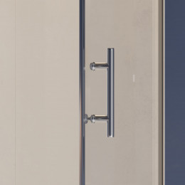 Душевая дверь RGW HO-012 1000