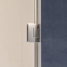 Душевая дверь RGW HO-012 1100