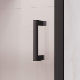 Душевая дверь RGW PA-017B 1200