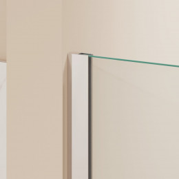 Душевая перегородка RGW WA-054 (WA-010 + Z-072) 900