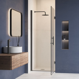 Душевая дверь RGW HO-011B 700