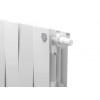 Радиатор Royal Thermo PianoForte 200 /Bianco Traffico - 20 секц. VDR