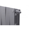 Радиатор Royal Thermo PianoForte 200 /Silver Satin - 14 секц. VDR