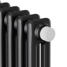 Дизайн-радиатор Royal Thermo Insignia VC2180 - 10 секц. RAL9005m