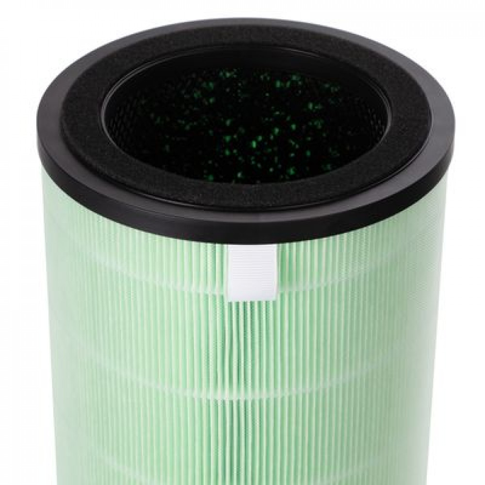 Фильтр Electrolux FAP-2050 ANTI SMOG ACTIVE