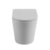 Унитаз приставной безободковый с сиденьем BELBAGNO FLAY-R