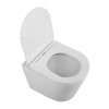 Унитаз подвесной безободковый с сиденьем BELBAGNO FLAY-R