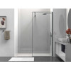 Душевая перегородка Walk-In VSW-1HS100CLGM, 1000*2000, вороненая сталь, стекло прозрачное