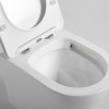 Унитаз подвесной Piatti VT1-11S, цвет белый, ультратонкое soft-close сиденье