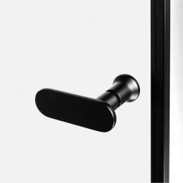 Душевое ограждение NEW TRENDY NEW SOLEO BLACK 2D 70x100x195 D-0229A/D-0232A черный