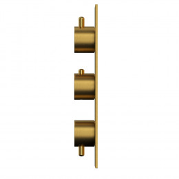 Смеситель термостатический для душа скрытого монтажа WHITECROSS Y Y1238GLB брашированное золото