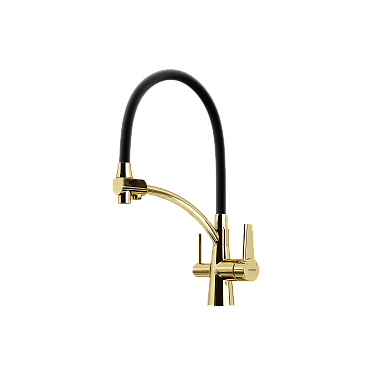 полированное золото/черный